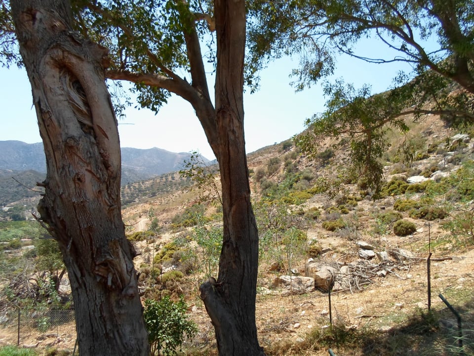 View from water slide park Fodele Beach & Water Park Holiday Resort
