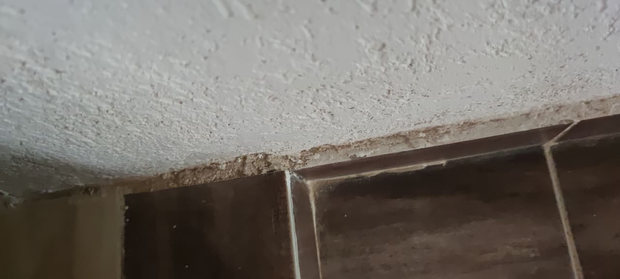 Zimmer Beach Safari Nubian Resort