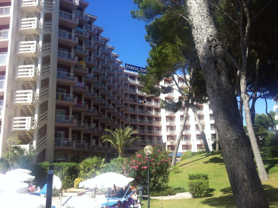 Pabisa Sofia Pabisa Sofia