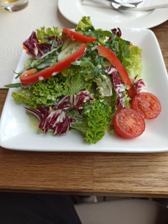 Gastro Hotel Traube Rüdesheim