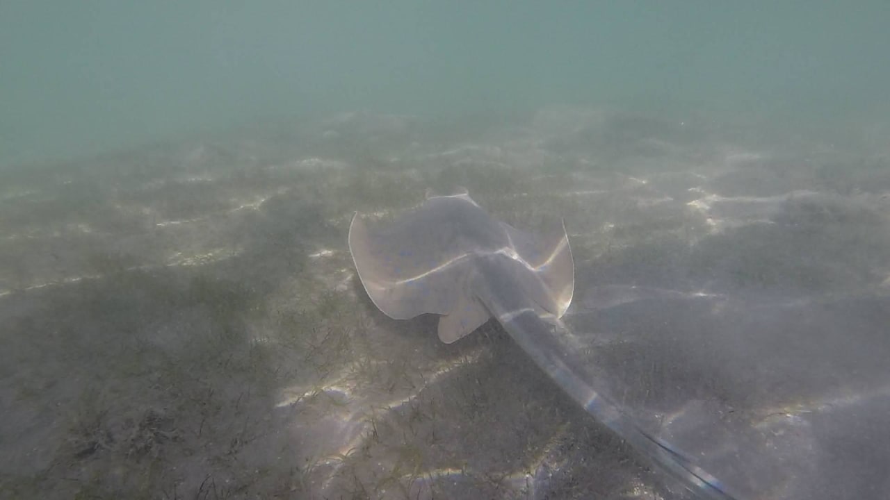 In allen Größen Makadi Spa - Adults only