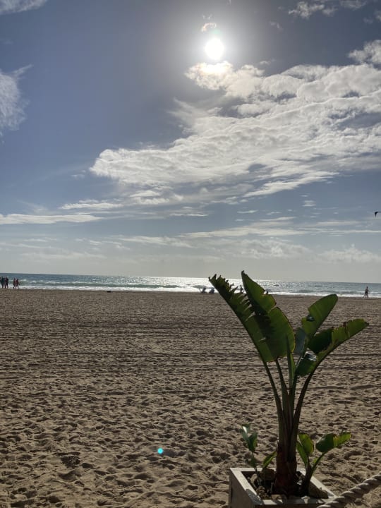 Strand Valentin Sancti Petri