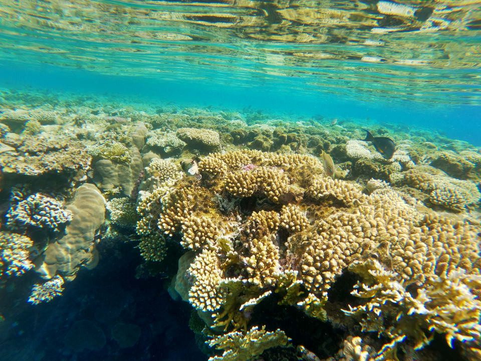 Sport & Freizeit Pickalbatros Aqua Park Resort - Sharm El Sheikh