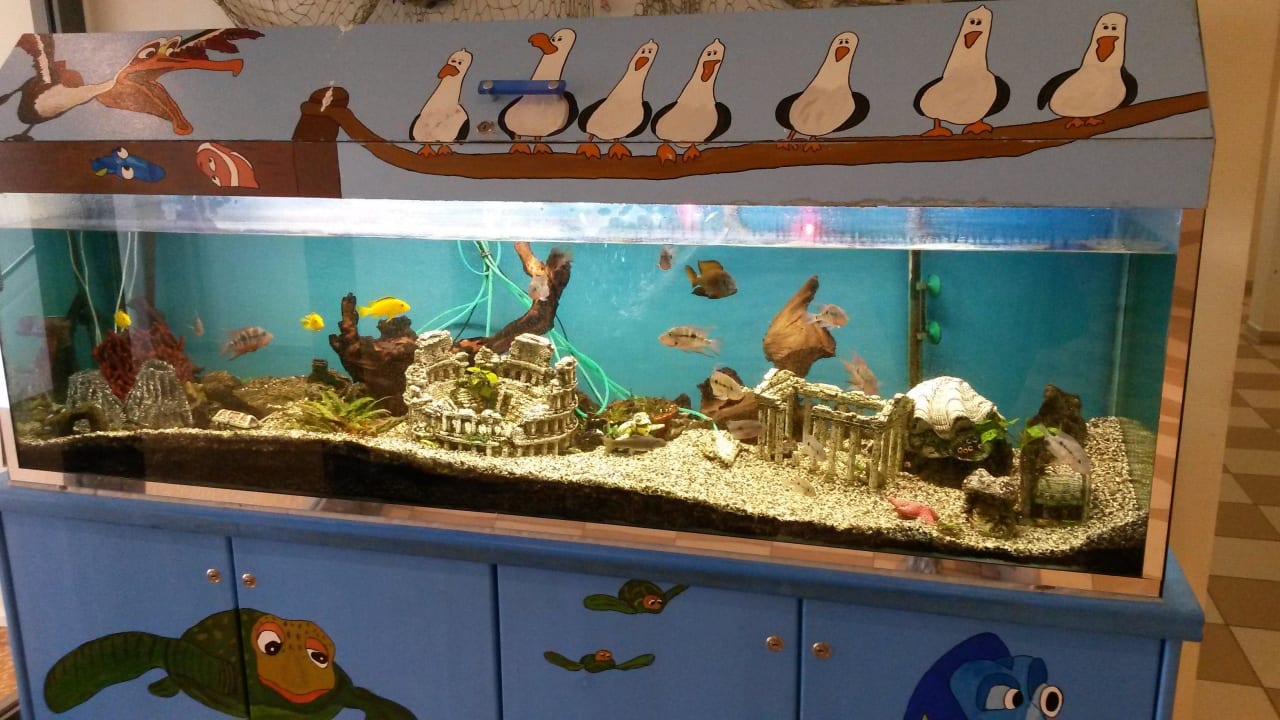 Aquarium SAVOY Hotel Bad Mergentheim