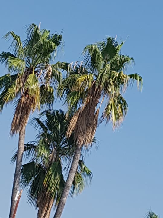 Sonstiges Hotel Sirma