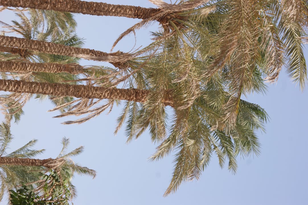 View Cleopatra Luxury Resort Makadi Bay