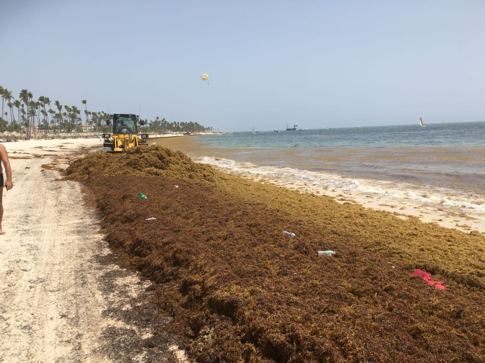 Strand Meliá Caribe Beach Resort-All Inclusive