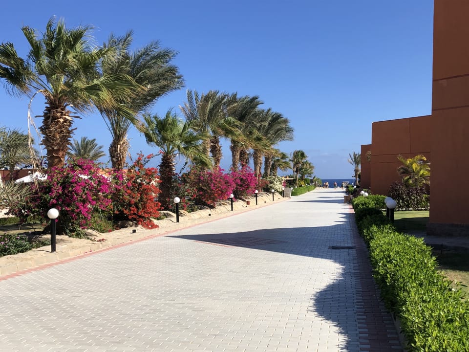 Ausblick Three Corners Happy Life Beach Resort