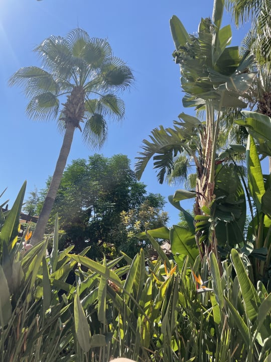 Gartenanlage Aydinbey Kings Palace & Spa