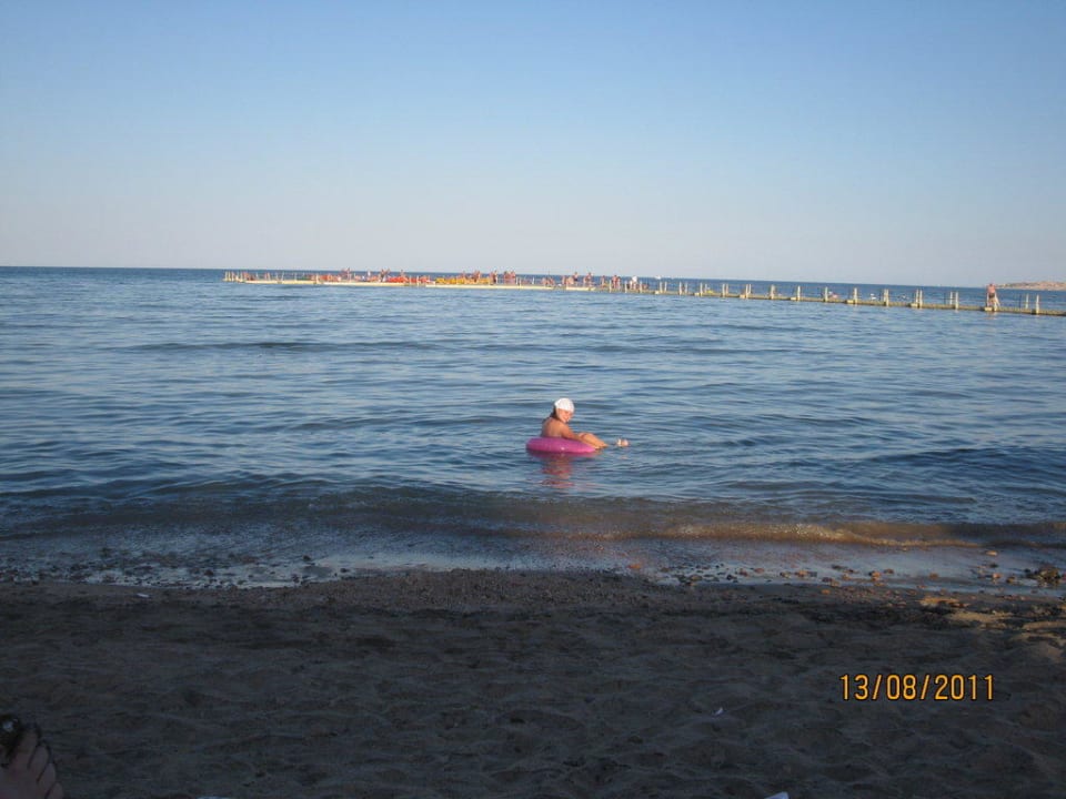Море у берега просто горячее Pickalbatros Palace Resort