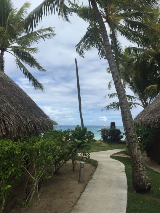 Gartenanlage Hotel Sofitel Bora Bora Marara Beach & Private Island