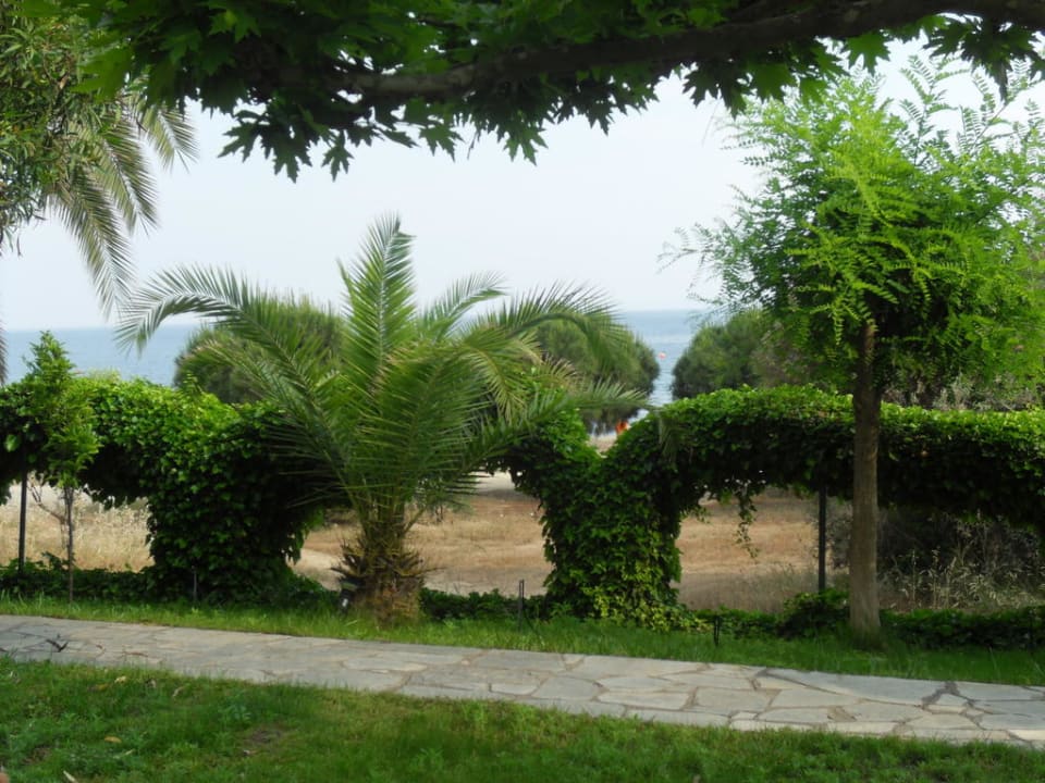 Blick von Terrasse Haus des Gartens / Pension Nikos