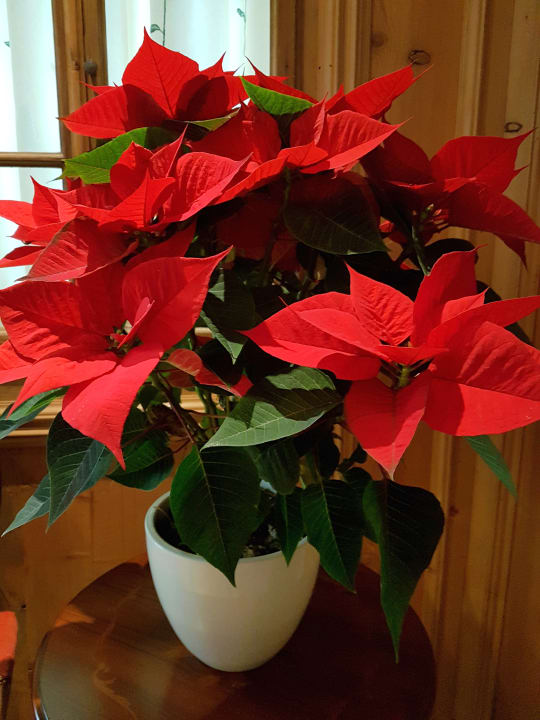 Sonstiges Hotel Olympia