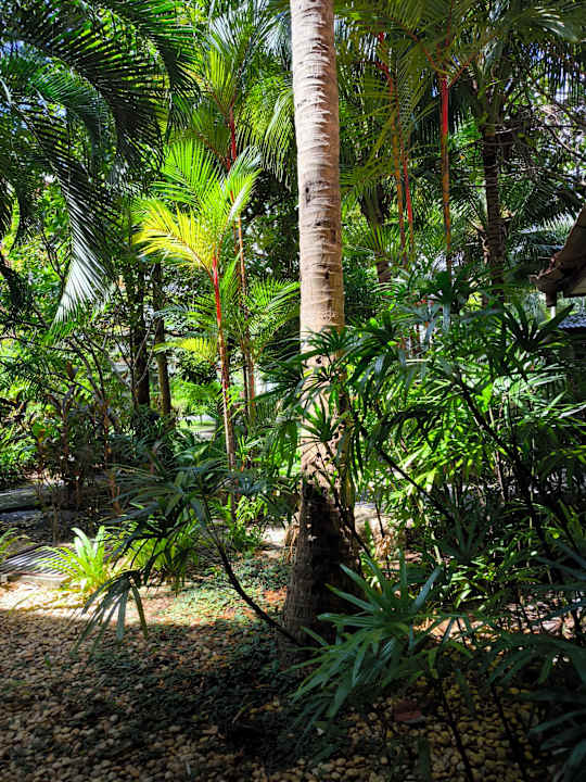 Außenansicht Hotel R Mar Resort & Spa