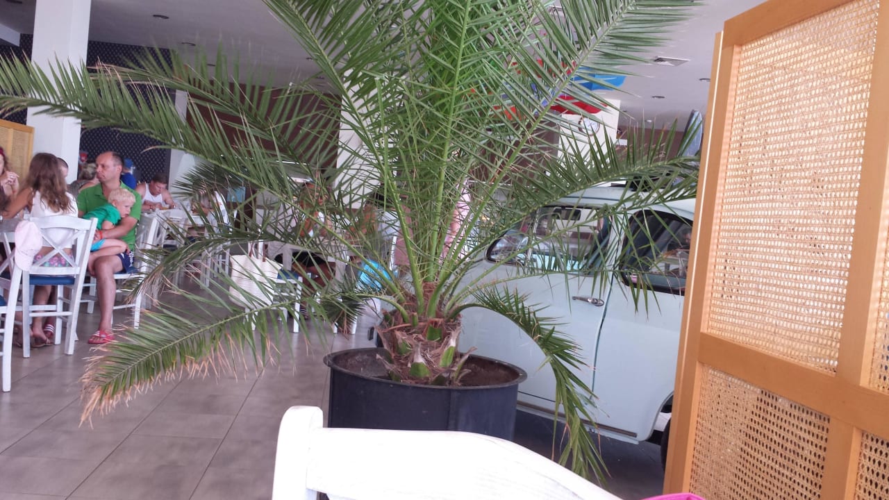 Bulgarisches Spezialitätenrestaurant Sol Luna Bay