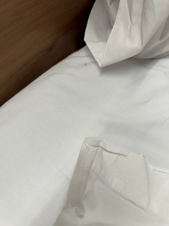 Zimmer Hipotels La Geria