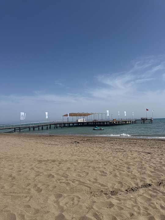 Strand Papillon Ayscha