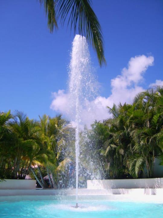 Pool Catalonia Punta Cana - All Inclusive