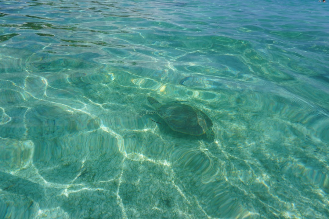 Strand Akumal Bay Beach & Wellness Resort