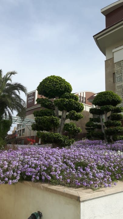 Außenansicht Sentido Trendy Verbena Beach