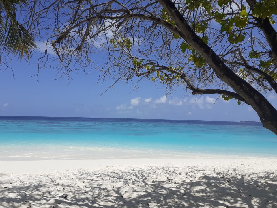 Strand Adaaran Select Meedhupparu Island Resort - Premium All Inclusive