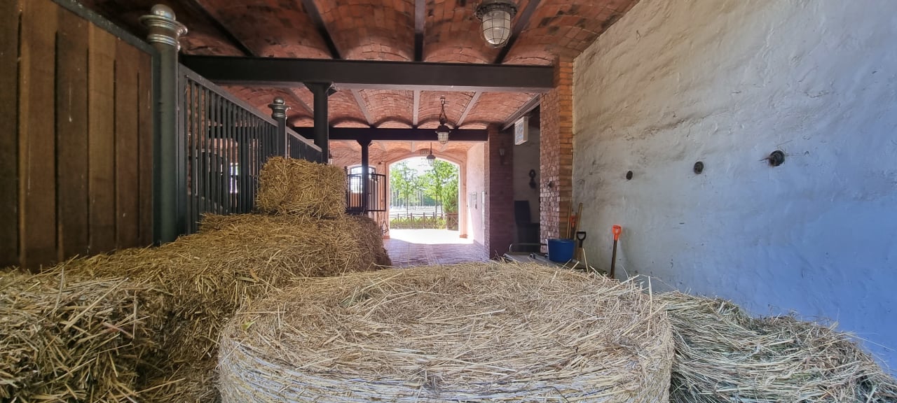 Sport & Freizeit Pałac Ciekocinko Hotel Resort & Wellness