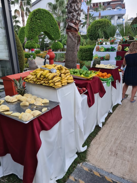 Gastro Grand Seker Hotel