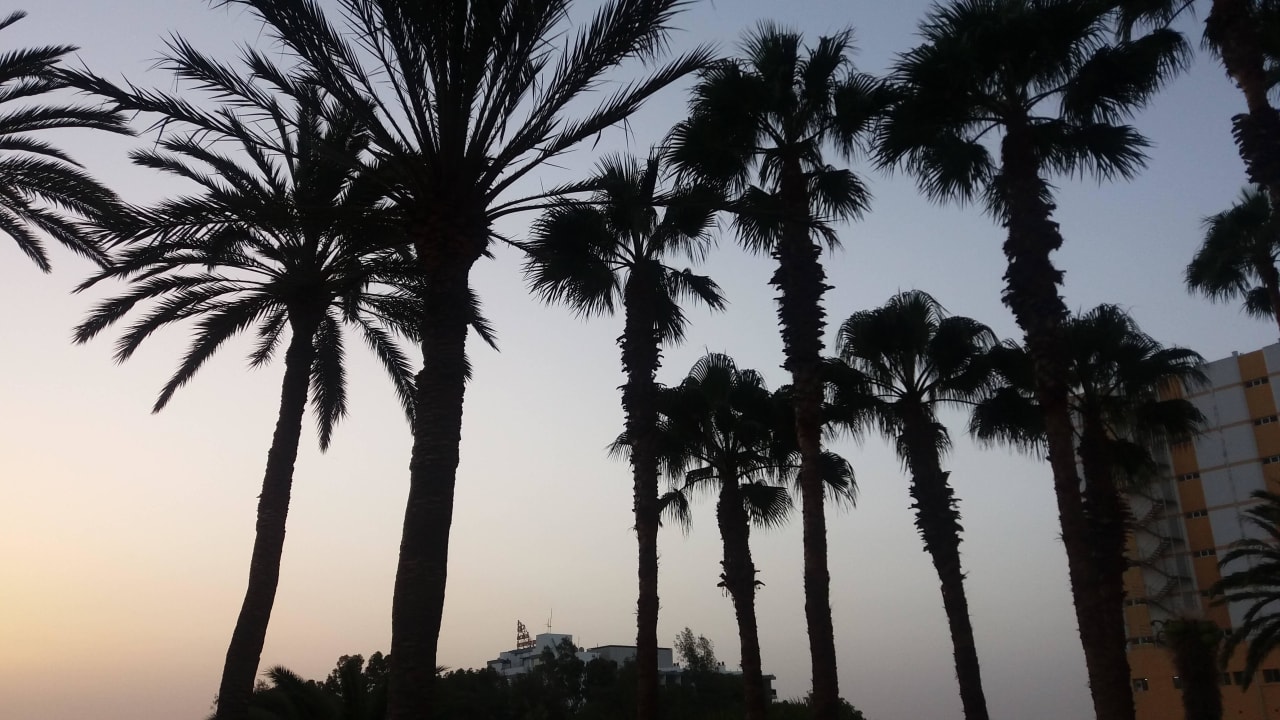 Riesige gepflegte Gartenanlage Corona Roja