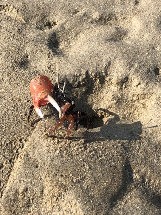 Strand Casa Mare Resort