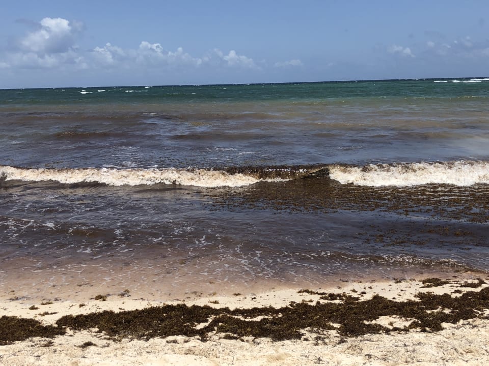 Strand Grand Palladium Kantenah Resort & Spa