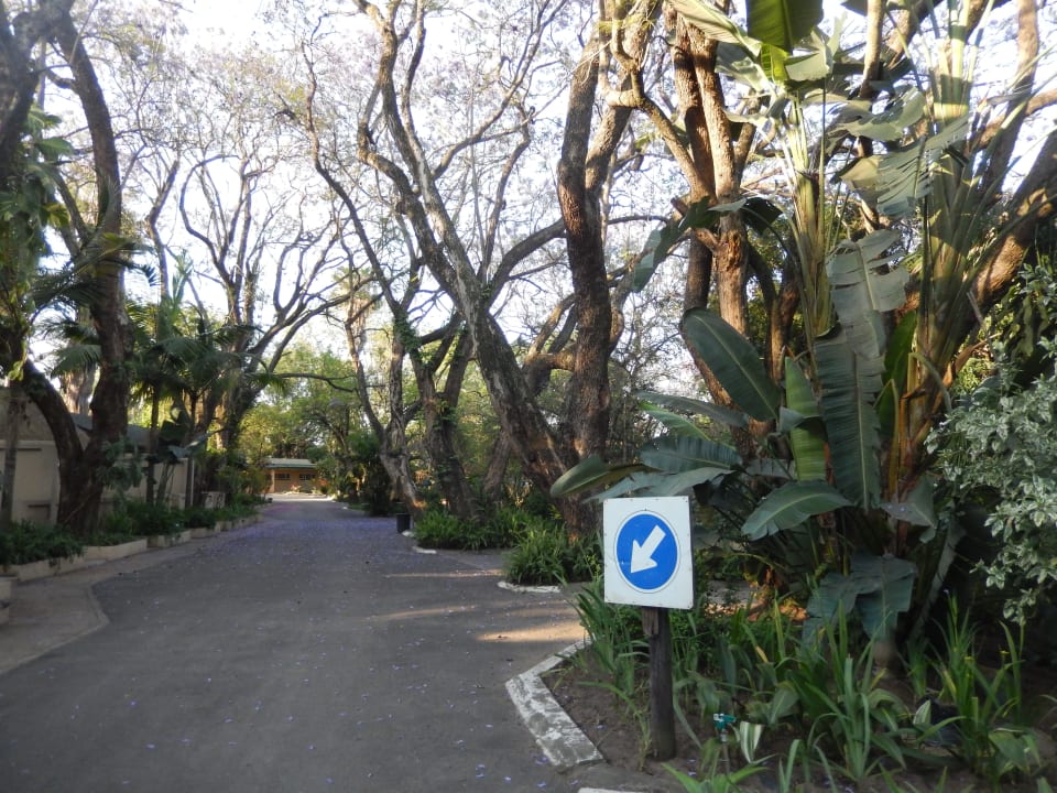 Gartenanlage Hotel Numbi The Main House