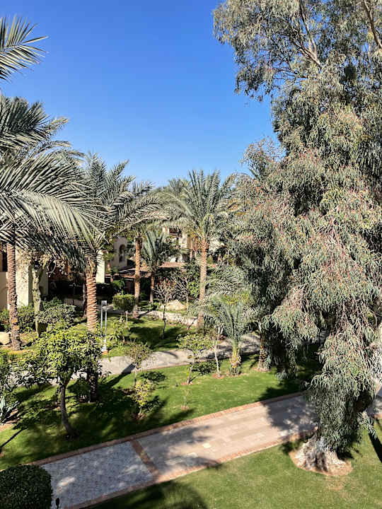 Zimmer Jaz Makadi Oasis Resort