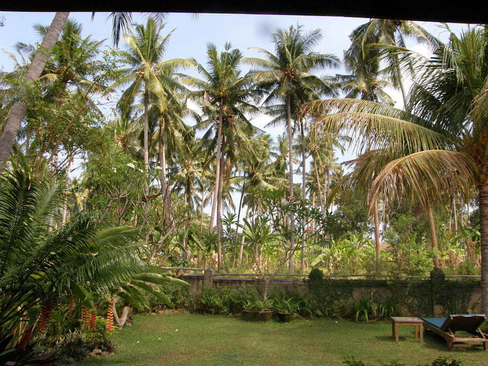 Ausblick Richtung Strand Saraswati Holiday House