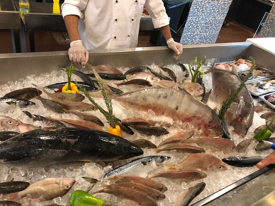 Gastro Pickalbatros Alf Leila Wa Leila Resort - Neverland Hurghada