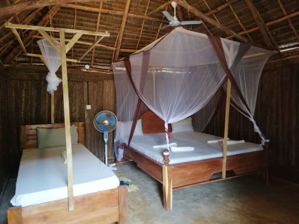 Zimmer Summer Dream Lodge