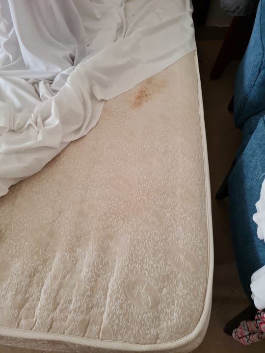 Zimmer Stella Garden Resort & Spa, Makadi Bay