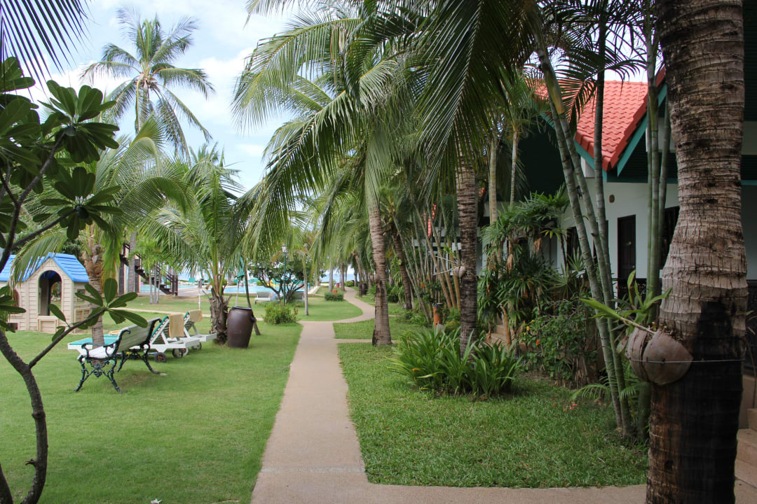 Weg zu deen Bungalows Dolphin Bay Resort