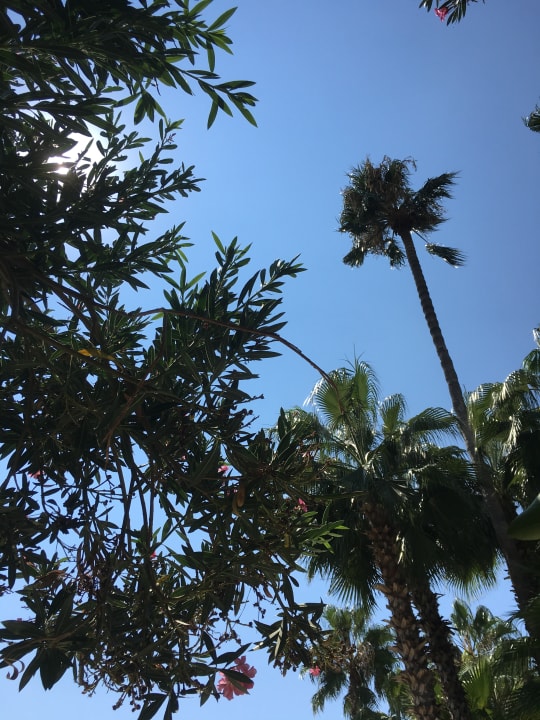 Gartenanlage Labranda Alantur Resort