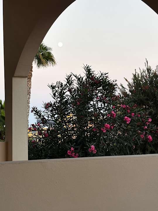 Zimmer Occidental Jandía Mar