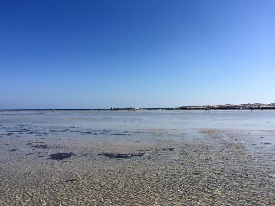 Das Meer bei Ebbe JAZ Aquamarine Resort