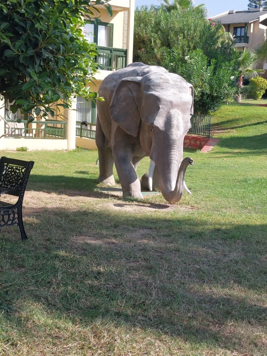 Gartenanlage Oz Hotels Incekum Beach