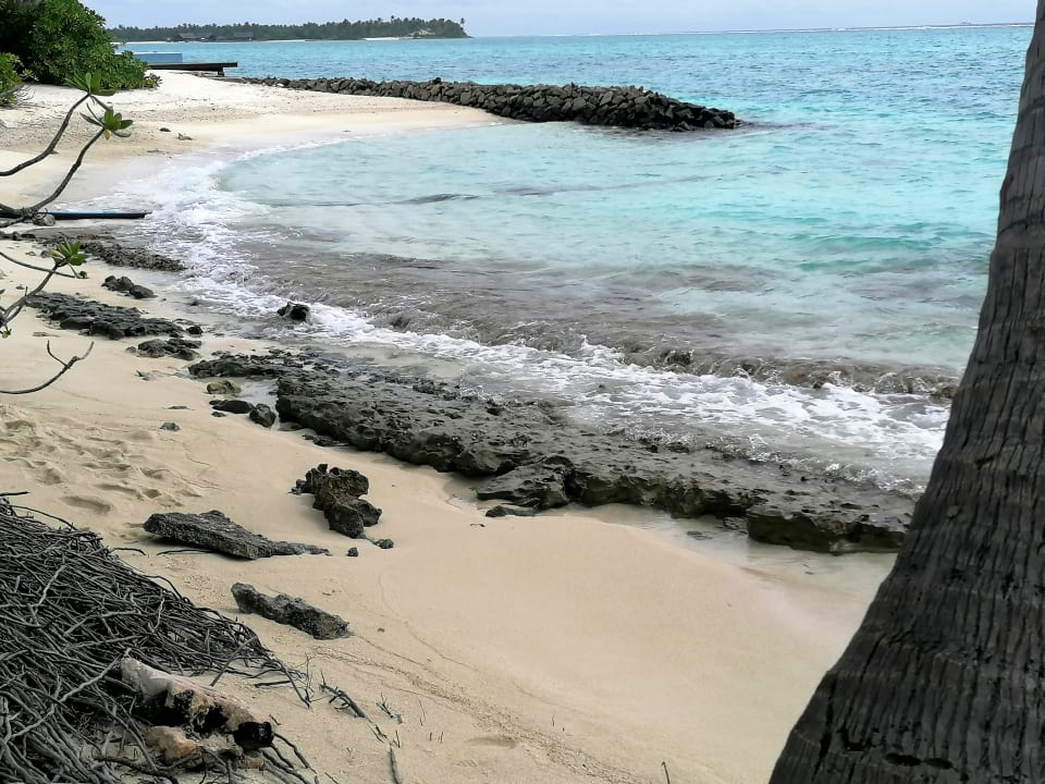 Strand Summer Island Maldives