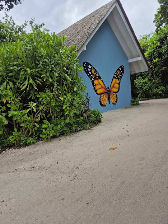 Sport & Freizeit Ifuru Island Maldives