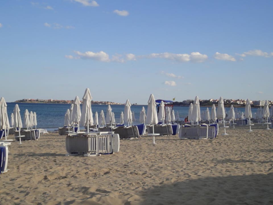 Liegen und Schirme am Strand  Hotel Calypso