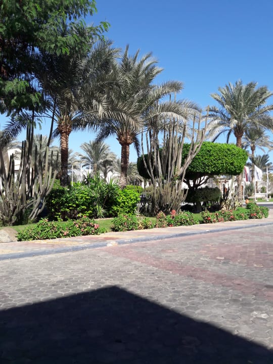 Gartenanlage Jaz Makadi Saraya Resort