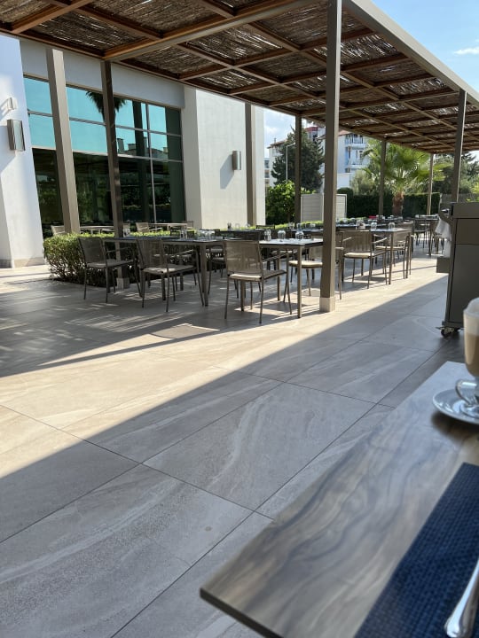 Gastro Acanthus Cennet Barut Collection