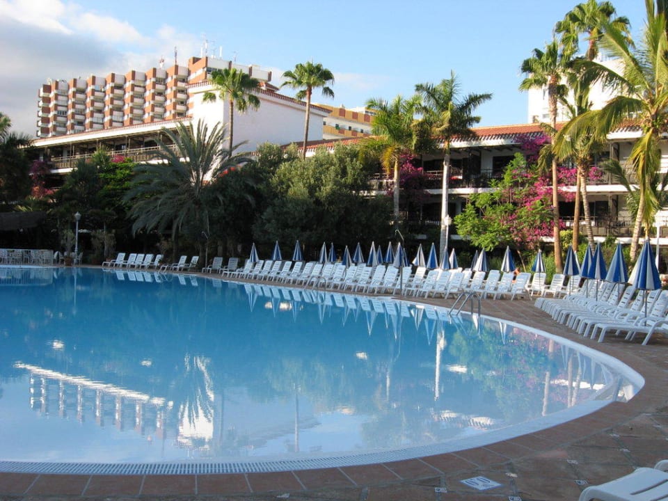 Pool Hotel Parque Tropical