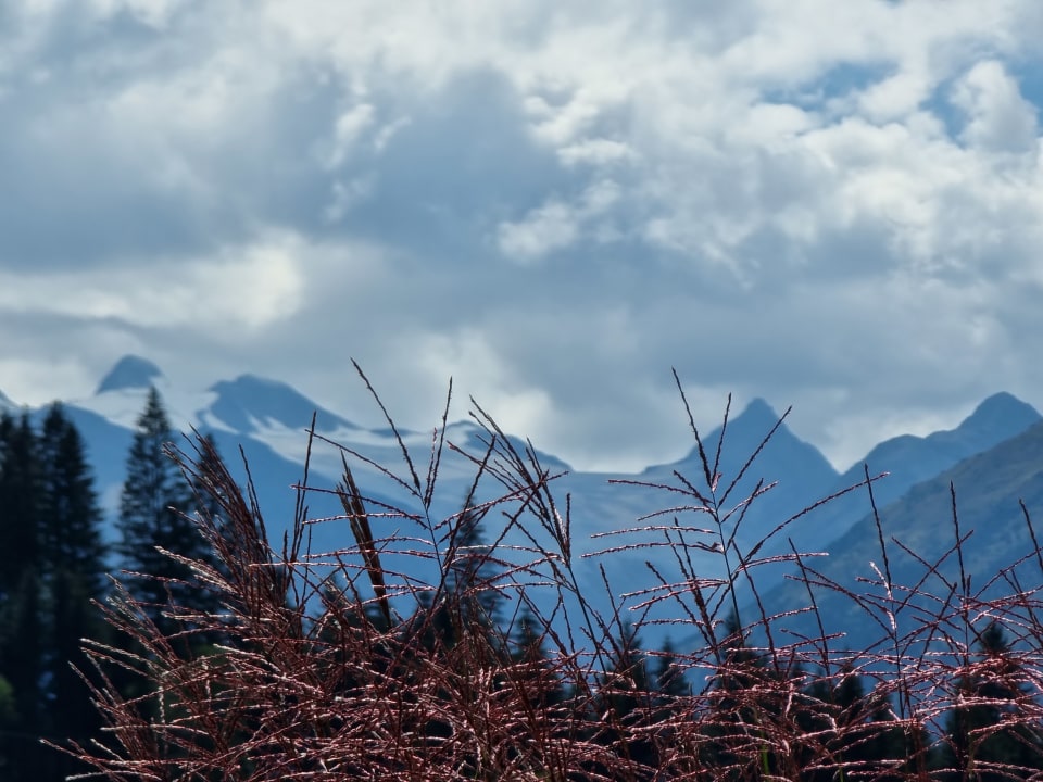 Ausblick Vitalhotel Edelweiss