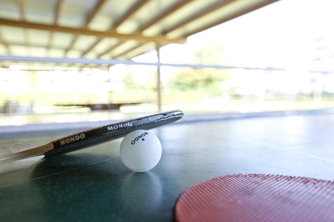 Ping-pong Hotel Falcone