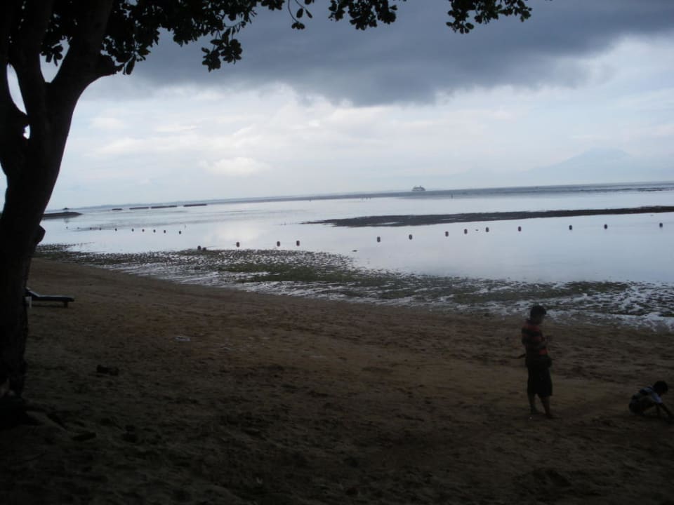 Ebbe3 Paradisus by Melia Bali